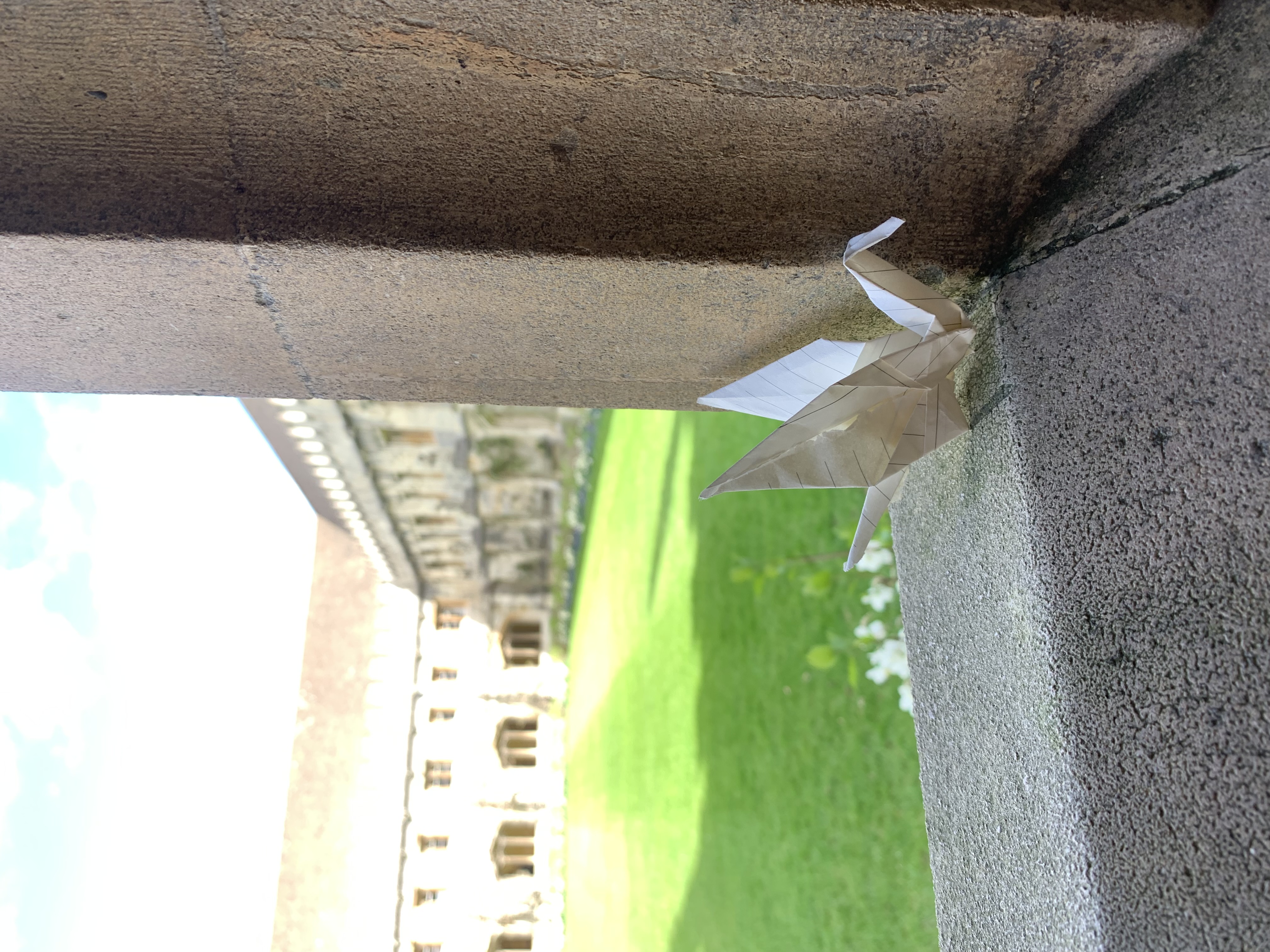 A paper crane in the Magdalen College cloisters